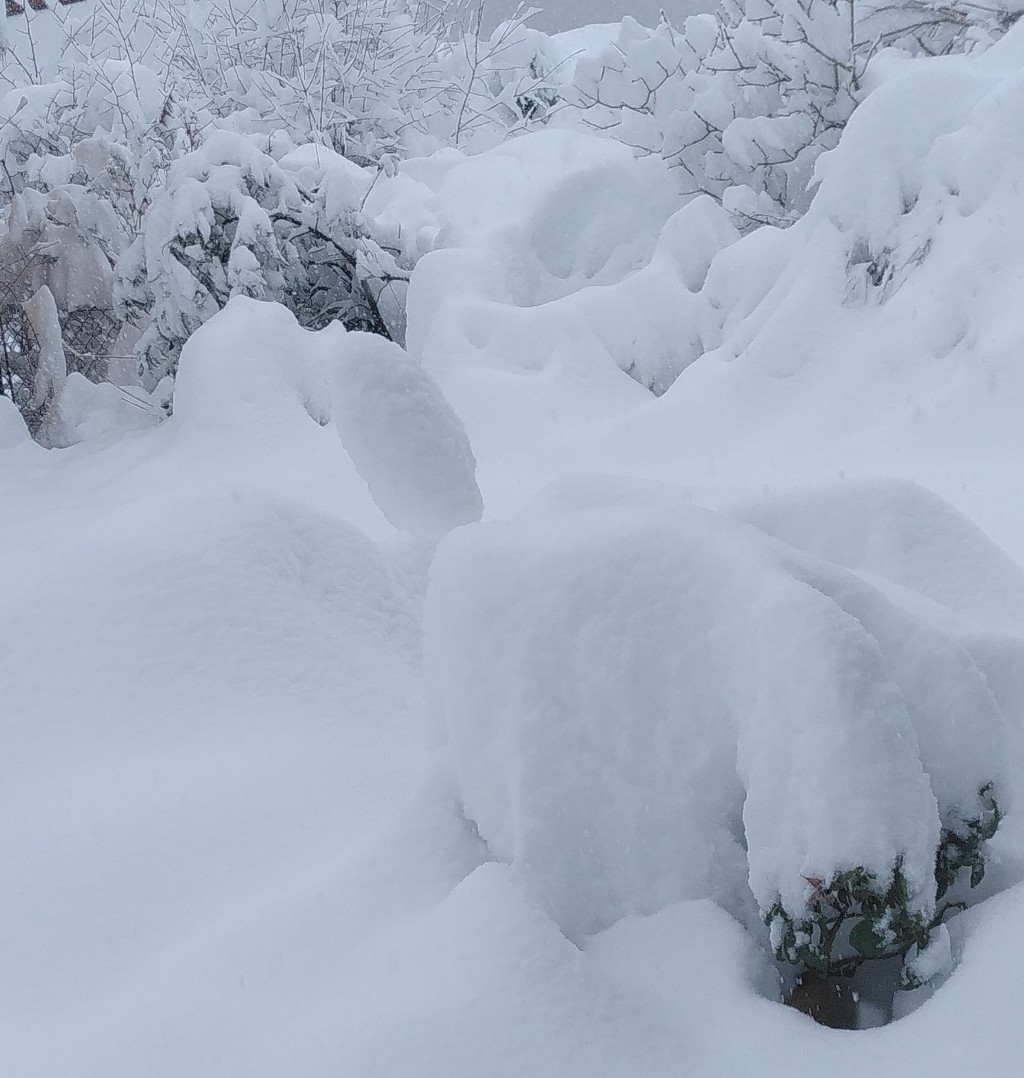 Schneemassen