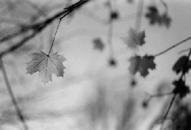 Christina Preuß, winter, 1999