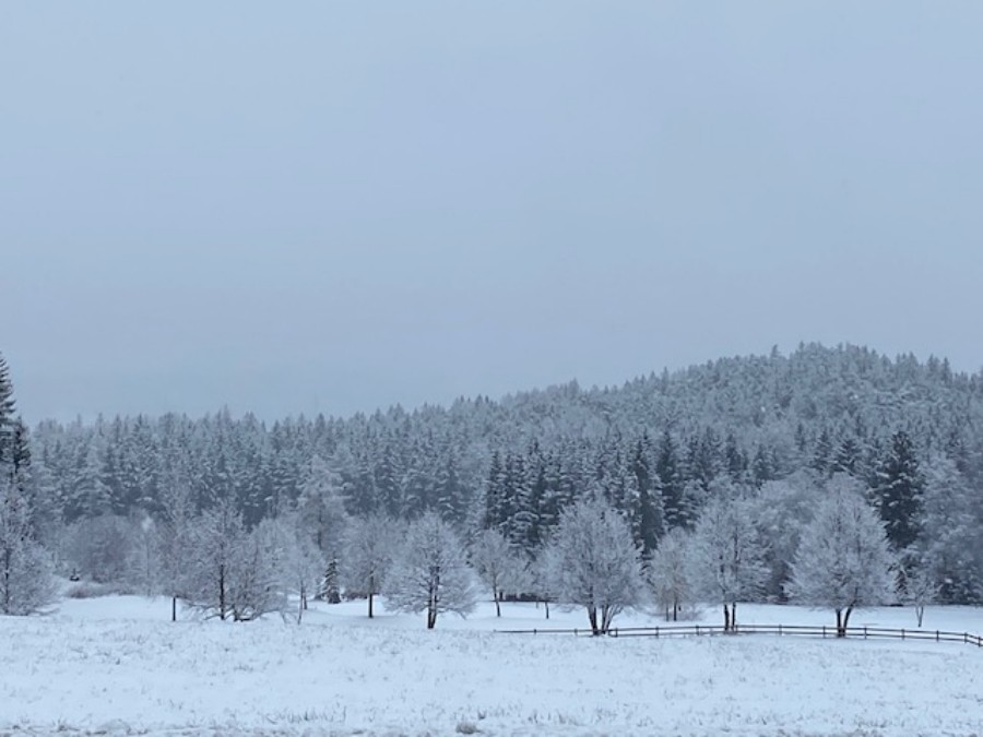 Schnee